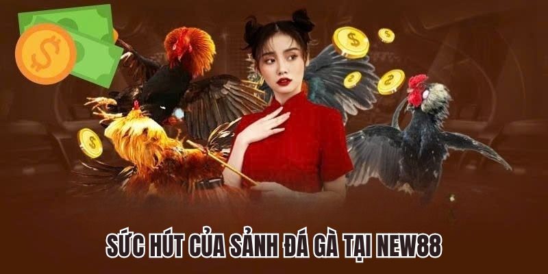 Sức hút của sảnh đá gà tại New88